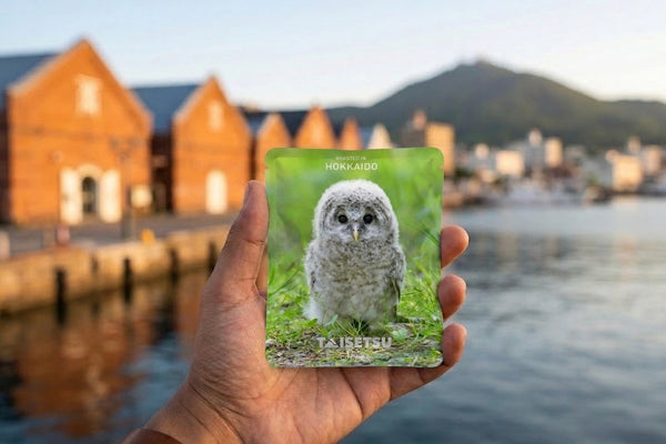 函館コーヒーお土産ガイド|タイセツコーヒーが買える4店舗まとめ|北海道の自家焙煎コーヒーをお土産に