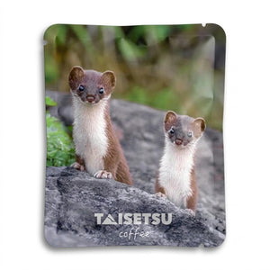 Twin Marten (058)