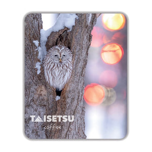 Streetlight OWL (054)