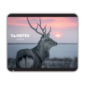 Sunset Stag (051)
