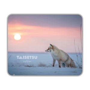 Sunset Fox (077)