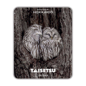 Ezo Owls (002)