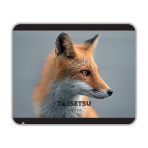 Fox Profile (029)