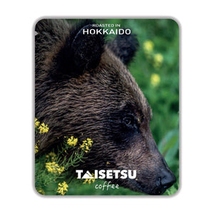 Hokkaido Brown Bear (006)