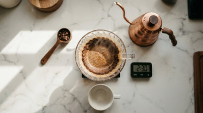 Basics of Drip Coffee | 3 Tips for a Delicious Brew