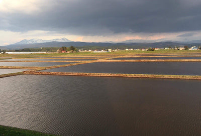 The breathtakingly beautiful rural landscape of Higashikawa