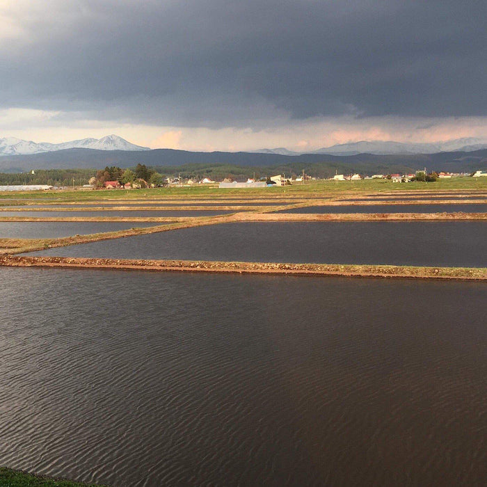ため息の出る程美しい東川の田園風景