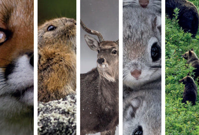 Drip coffee as beautiful as a photobook