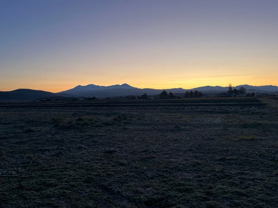 Higashikawa Coffee | How Did the 