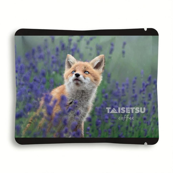 Lavender Fox (008)