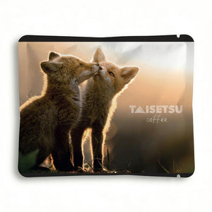 Sunset Red Fox (012)