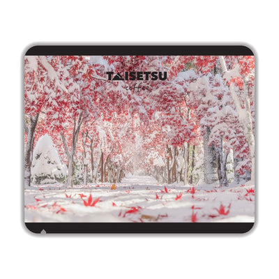 Late Autumn Autumn Foliage Tunnel / Hiraoka Tree Art Center (067)