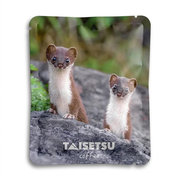Twin Marten (058)