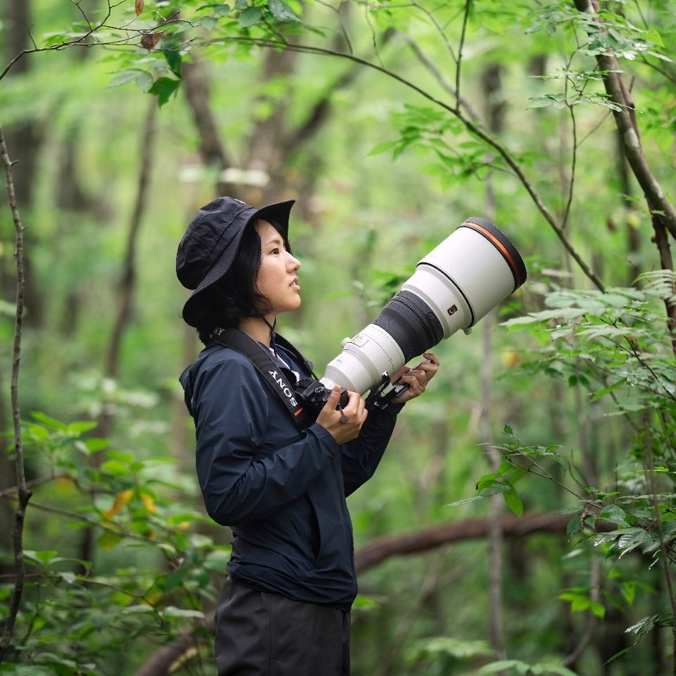 シマエナガ (078)