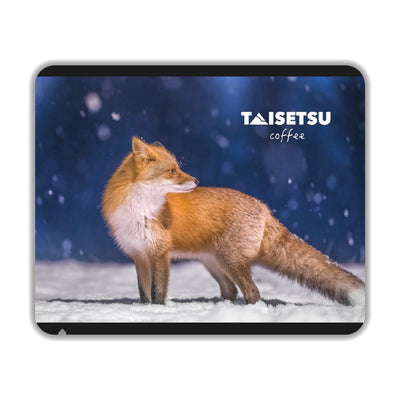 Fox in falling snow (065)