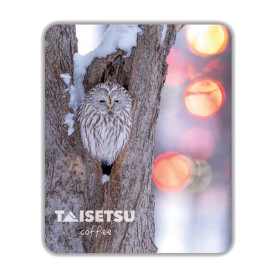 Streetlight OWL (054)