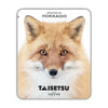 Hokkaido Red Fox (007)