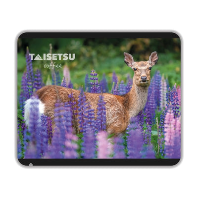 Ezo Shika - Lupin II (053)