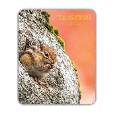 Shimarisu Autumn Orange (059)