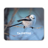 Long-tailed Tit (068)