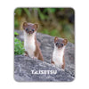 Twin Marten (058)