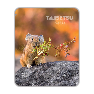 PIKA Autumn Nest (057)