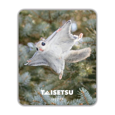 エゾモモンガ滑空 (063)