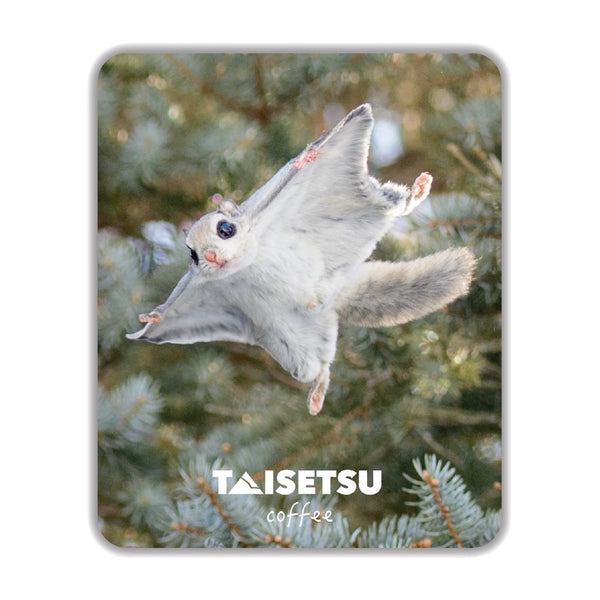 エゾモモンガ滑空 (063)