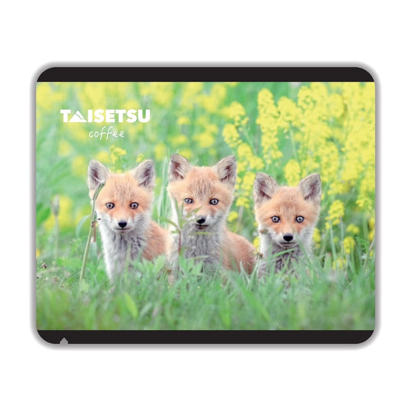 The 3 Little Cubs (050)