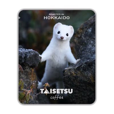 エゾオコジョ (069)