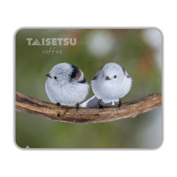 雪の妖精シマエナガ (073)