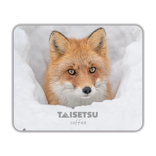 雪穴ひょっこり (074)