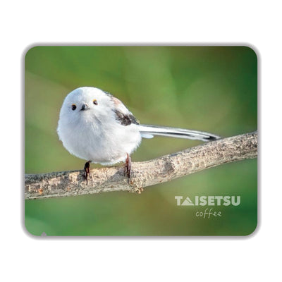 シマエナガ (078)