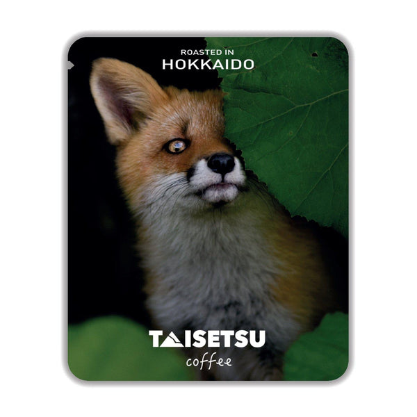 Peeping Red Fox (010)