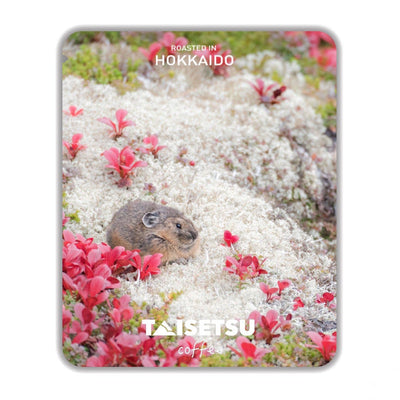 ナキウサギ (040)