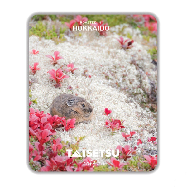 ナキウサギ (040)