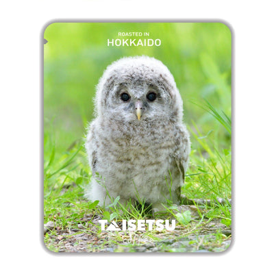 ふくちゃん エゾフクロウ かわいいひよこ | フクちゃん佐藤慶が撮影した貴重な写真