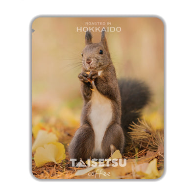 秋のエゾリス (024)