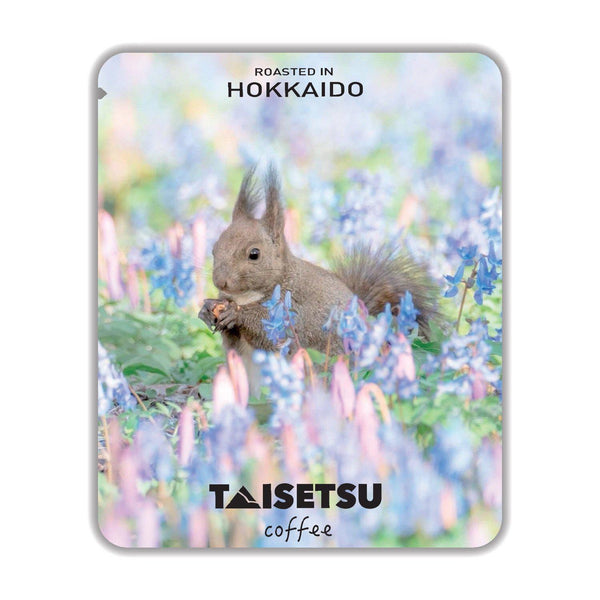 春のエゾリス (021)