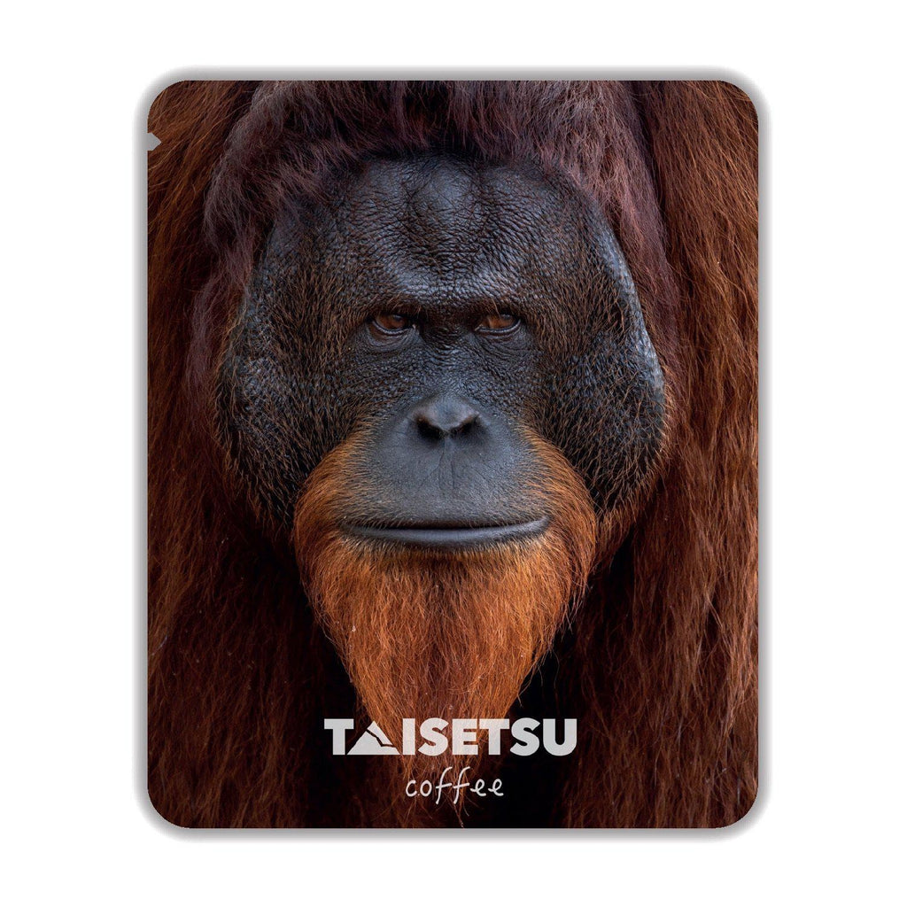 The Man of the Forest - Taisetsu Coffee - ドリップコーヒー プチギフト 珈琲 コーヒー パッケージ  お誕生日に お礼の品に オリジナルギフト