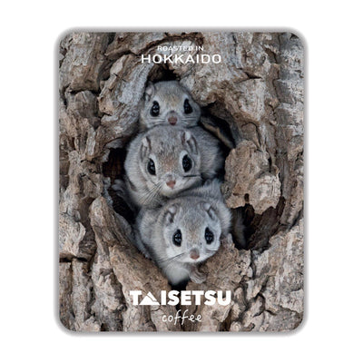 モモンガダンゴ (047)