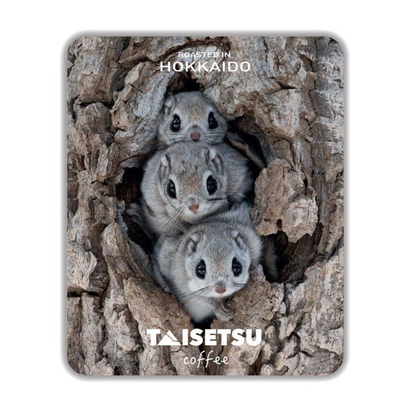 モモンガダンゴ (047)