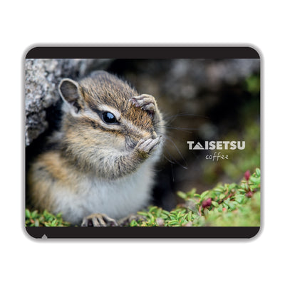 顔を洗うエゾシマリス (028)