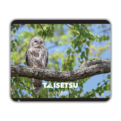 エゾフクロウ (017)