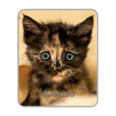 TAISETSU 猫 - エール (042)