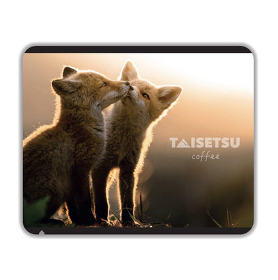 Sunset Red Fox (012)