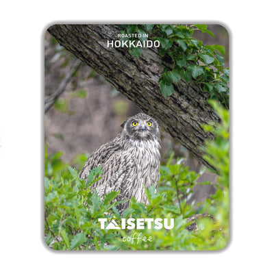 シマフクロウ (032)