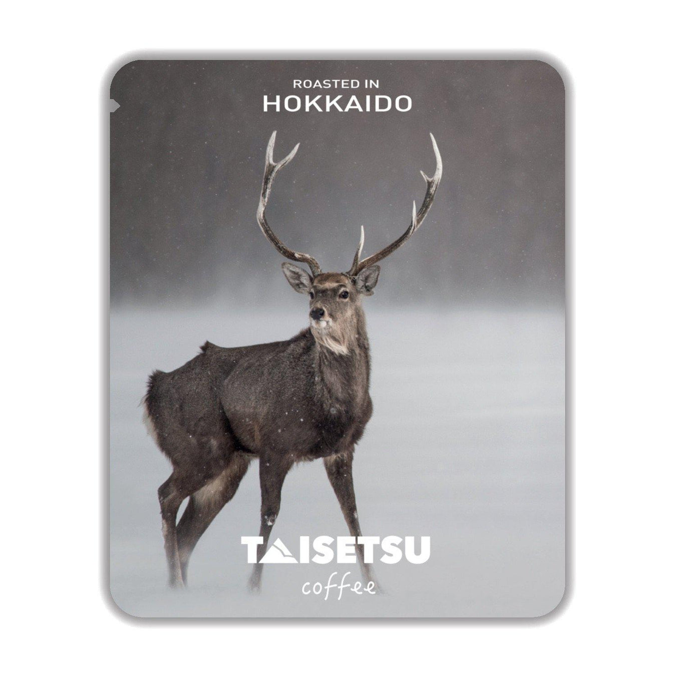 フォトシリーズ