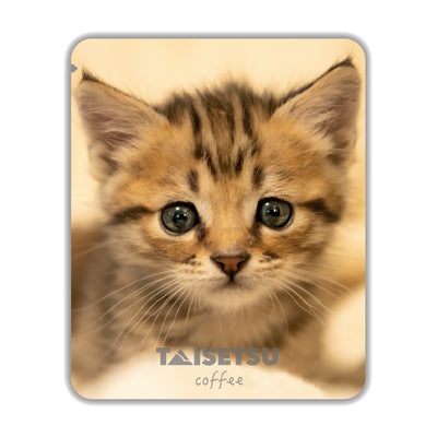 TAISETSU 猫 - ペール (043)