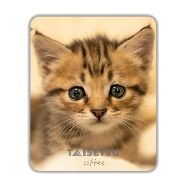 TAISETSU 猫 - ペール (043)